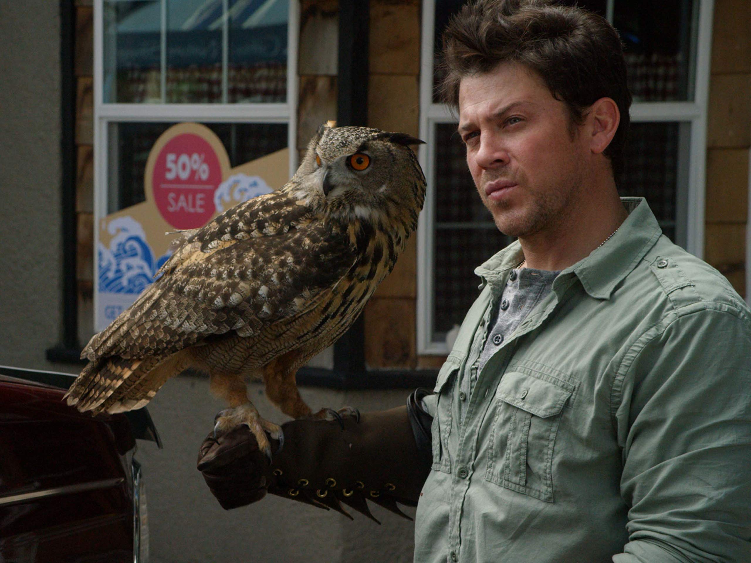 Watch The Librarians - Season 1 | Prime Video
