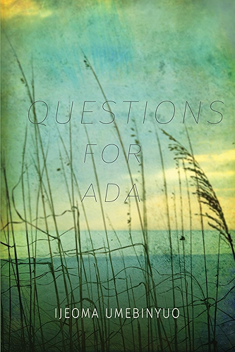 Download Questions for Ada (English Edition) PDF