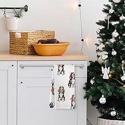 Yorhifa Basset Hound Dog Kitchen Dish