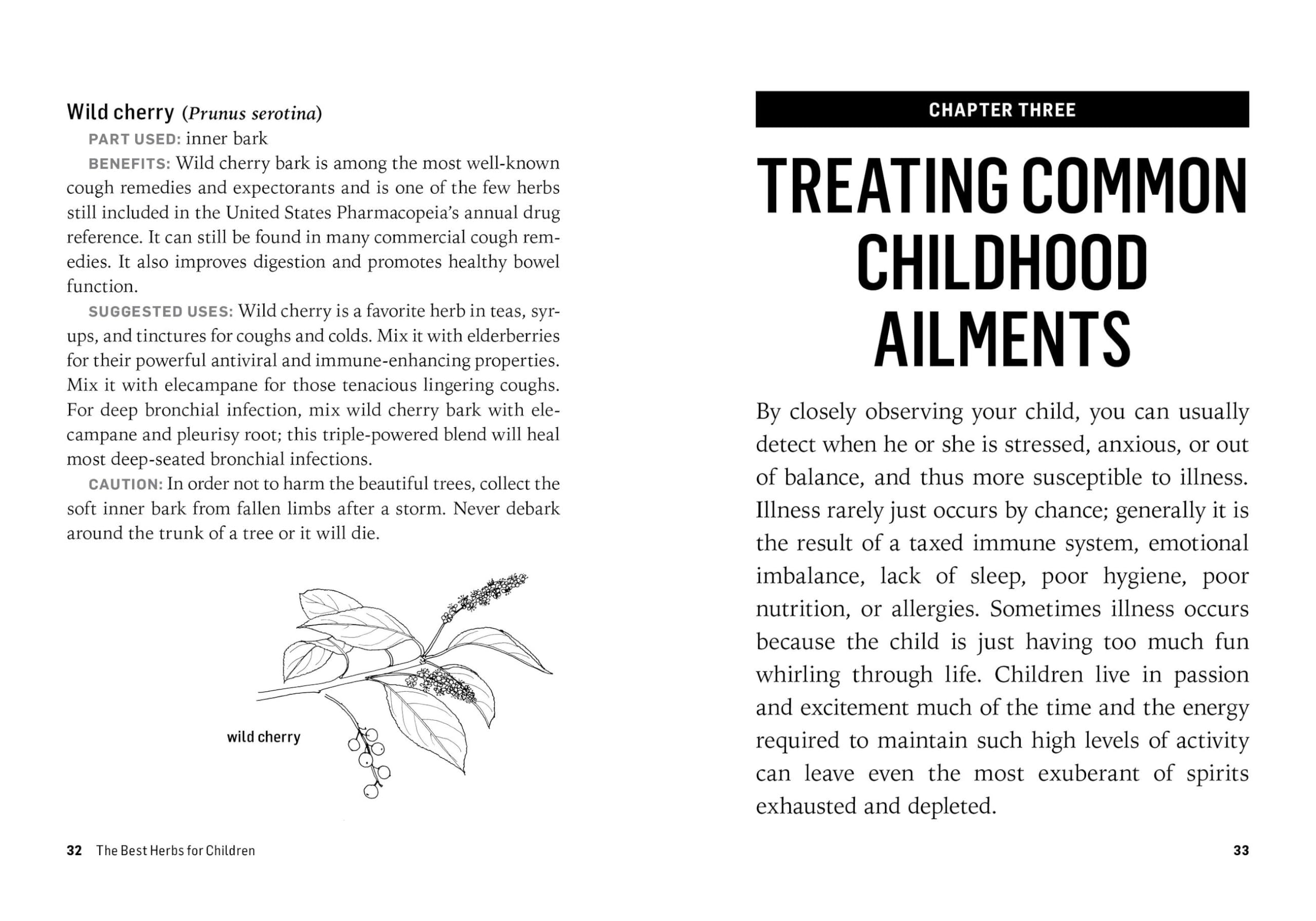 Herbs for Children's Health: How to Make and Use Gentle Herbal Remedies for Soothing Common Ailments (Storey Basics)