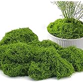 Potanro Faux Green Moss 5.3oz Artificial Fake Plant Moss for Potted Plants Indoor, Crafts, Planters, Bonsai Artifcial, DlY Fl