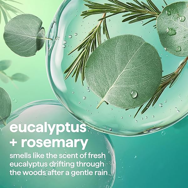 METHOD ALL-PURPOSE CLEANER SPRAY, EUCALYPTUS + ROSEMARY- CUTS GREASE & GRIME ON COUNTERS, GLASS, SEALED WOOD & FLOORS, FOR KITCHEN & BATHROOM, 28FL OZ, 4 PACK