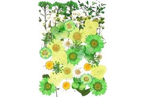 40Pcs Green Dried Pressed Flowers for Crafts,Xinxinran Dry Flowers Kit for Resin Molds,Epoxy Resin Accessories,Bookmark,Nails, Jewelry Molds,Candle Making Supplies,Soap,Frame,Cakes