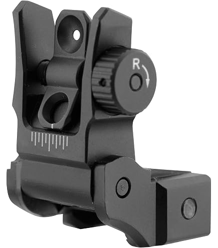 Amazon.com: Leapers 45 Degree Offset Flip-Up Backup Sights