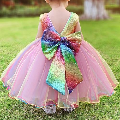 Little Girl Dress Kids Wedding Pageant Holiday Prom Tutu Bridesmaid Dresses  Size 3T 4T (Rainbow, 110) in Dubai - UAE | Whizz Special Occasion