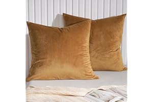 PHF Super Soft Velvet Euro Sham, 26"x 26",No Insert, 2 Pack Color Gradient Euro Pillow Covers, Ultra Cozy European Pillow Covers for Luxurious Home Decorative, No Shedding, No Pilling, Brownish Camel