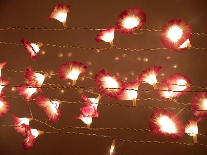 Tu Casa DW-228-11 Pancy Flower String Light (Orange/White)