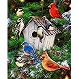 David Textiles Bird Houses and Pines with Lots of Birds Panel Cotton Fabric