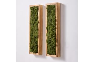 Mokof 2 Pack Moss Wall Art - Preserved Moss in Wood Frame - 17.3" Natural Modern Wall Decor for Living Room, Bedroom, Bathroo