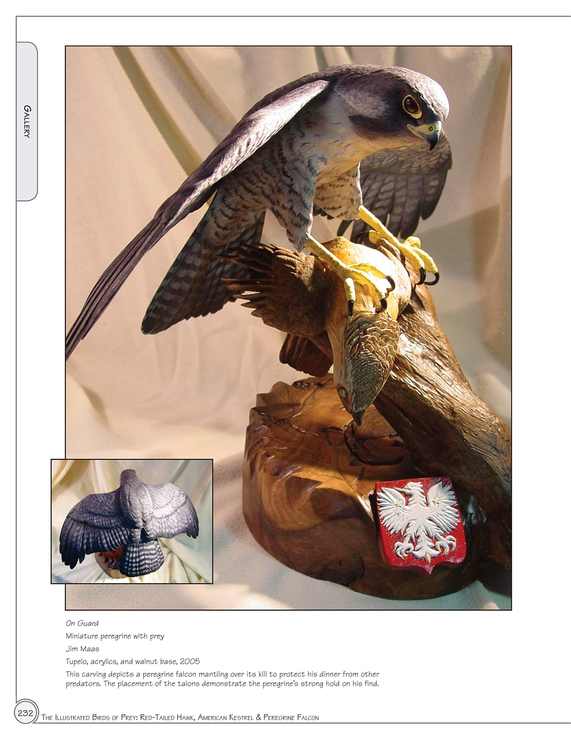 Illustrated Birds Of Prey Red Tailed Hawk American Kestral Peregrine Falcon The Ultimate Reference Guide For Bird Lovers Woodcarvers And Artists Fox Chapel Publishing Denny Rogers Lori Corbett Amazon Com Books