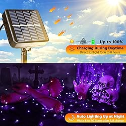 Joomer Purple Halloween Solar String Lights - 2