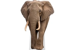 AMAZING ITEMS Elephant Life Size Standee - 5FT Freestanding Coroplast Cutout | Safari Animal Standup Photo Booths, Jungle Party, Birthday & Halloween Decorations