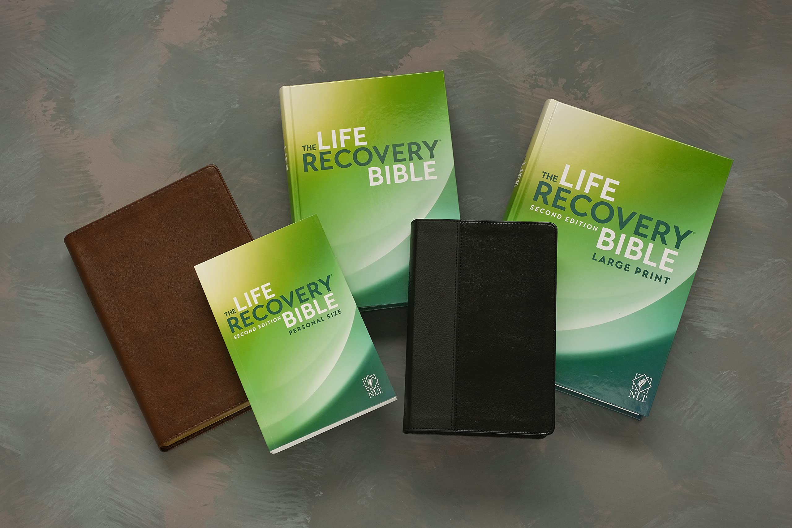 NLT Life Recovery Bible, Second Edition (Softcover): Addiction Bible Tied to 12 Steps of Recovery for Help with Drugs, Alcohol, Personal Struggles – With Meeting Guide NLT Life Recovery Bible, Second Edition (Softcover): Addiction Bible Tied to 12 Steps of Recovery for Help with Drugs, Alcohol, Personal Struggles – With Meeting Guide Paperback Spiral-bound