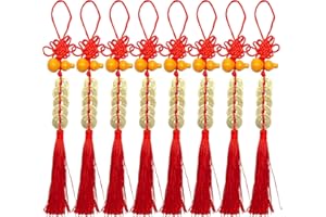 RUIZHUO 8Pcs Chinese New Year Decorations 2025, Lunar Red Hanging Knot Year of Snake Tassel Charm Asian Feng Shui Lucky Coins Pendants Spring Festival Ornaments for Tree Home Car Good Wealth Fortune Success