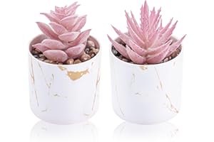 Der Rose Set of 2 Succulents Plants Artificial Mini Fake Succulents Plants for Office Desk Accessories for Women Pink Home Vanity Decor