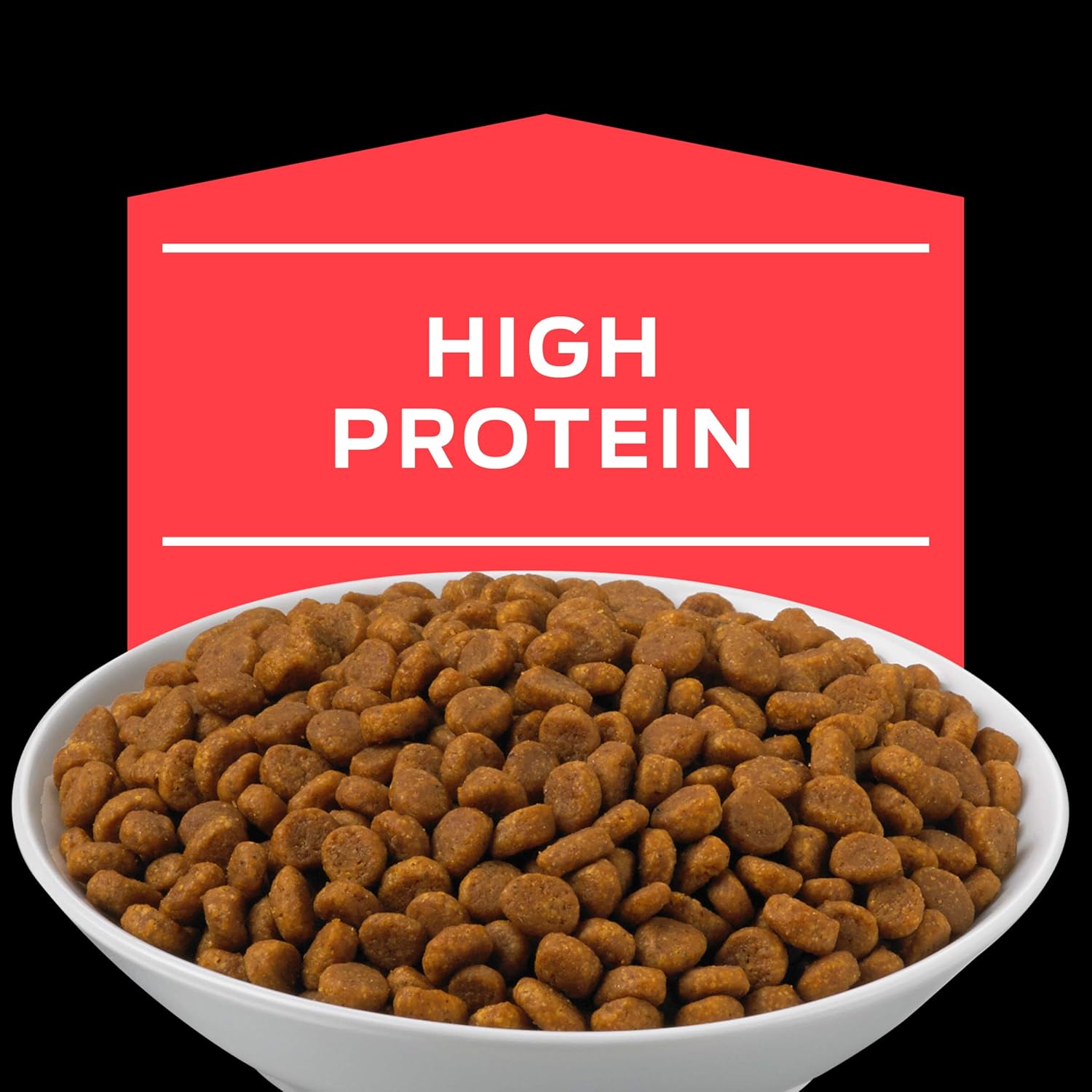 dm cat food best price