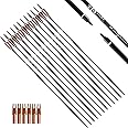 TIGER ARCHERY 30Inch Carbon Arrow Practice Hunting Arrows with Removable Tips for Compound & Recurve Bow(Pack of 12)