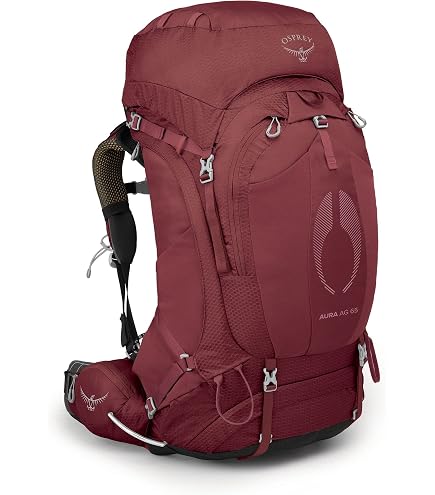 Osprey Aura AG 50L Women's Backpacking Backpack, Vestal Grey, X-Small : Sports & Outdoors