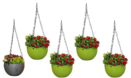 TFH Plastic Hanging Planter with Iron Chain Multicolor for Decoration Pack of 5