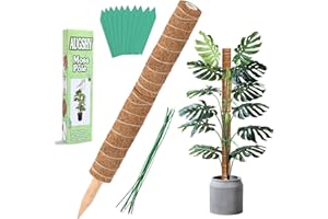 Augshy Total Length 24 Inch Coir Totem Pole - 2 Pcs 12 Inches Moss Pole, Coir Moss Stick for Monstera Climbing Indoor Creeper