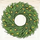 24 Inch Christmas Wreath with Lights Real Touch Norfolk Pine Wreath Artificial Christmas Wreaths for Outdoor Christmas Wreaths for Front Door Indoor Windows Wall Xmas Thanksgiving Decorations (1 PCS)