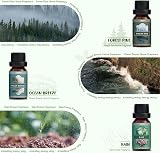 Salubrito Nature Essential Oils Set Forest Pine Ocean Breeze Rain 6x Oils view 3