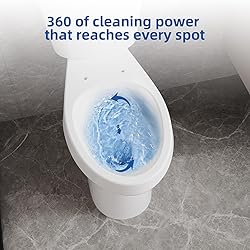 Two Piece Toilets Elongated, 19" ADA Comfort Height