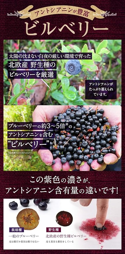 Amazon えがお の ブルーベリー 1袋 1袋 31粒入り 約1ヵ月分 栄養補助食品 えがお ブルーベリー ビルベリー