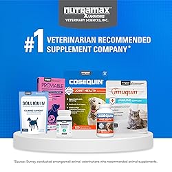 Nutramax Cosequin for Cats Joint Health
