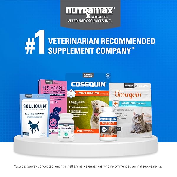 NUTRAMAX COSEQUIN FOR CATS JOINT HEALTH SUPPLEMENT, CONTAINS GLUCOSAMINE FOR CATS, PLUS CHONDROITIN AND OMEGA-3S, SUPPORTS JOINT AND SKIN AND COAT HEALTH, SOFT CHEWS, 60 COUNT