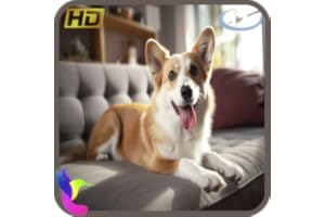 Calm Your Dog TV - Música para la ansiedad por separación, el estrés y el sueño canino