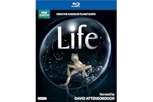 Life (David Attenborough-Narrated Version)