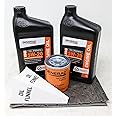 Generac 5W-20 Full Synthetic Oil Change Kit 2 Quarts oil and Filter