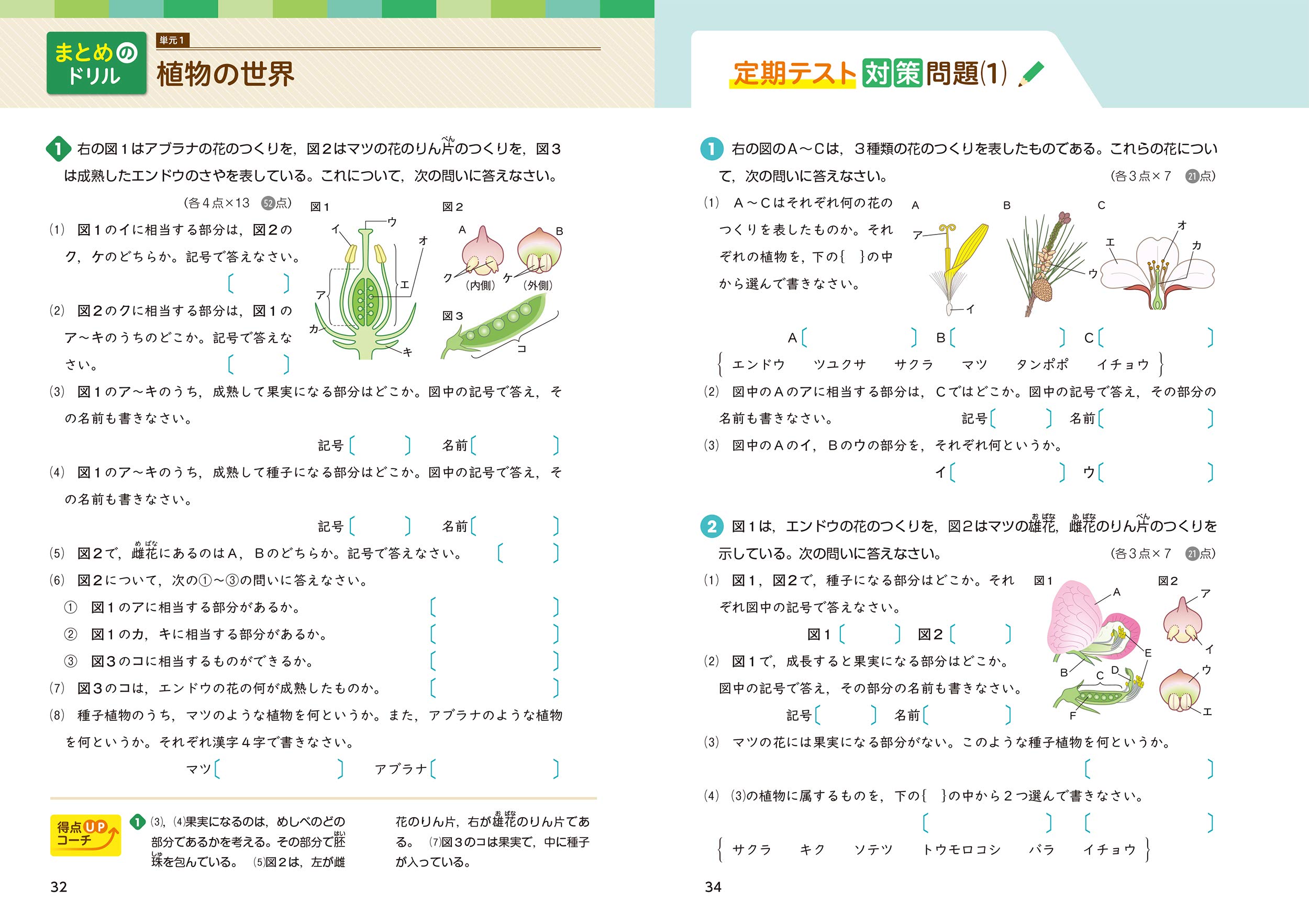 できた 中1理科 生命 地球 2分野 中学基礎がため100 本 通販 Amazon