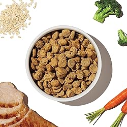 The Honest Kitchen Whole Food Clusters Whole Grain