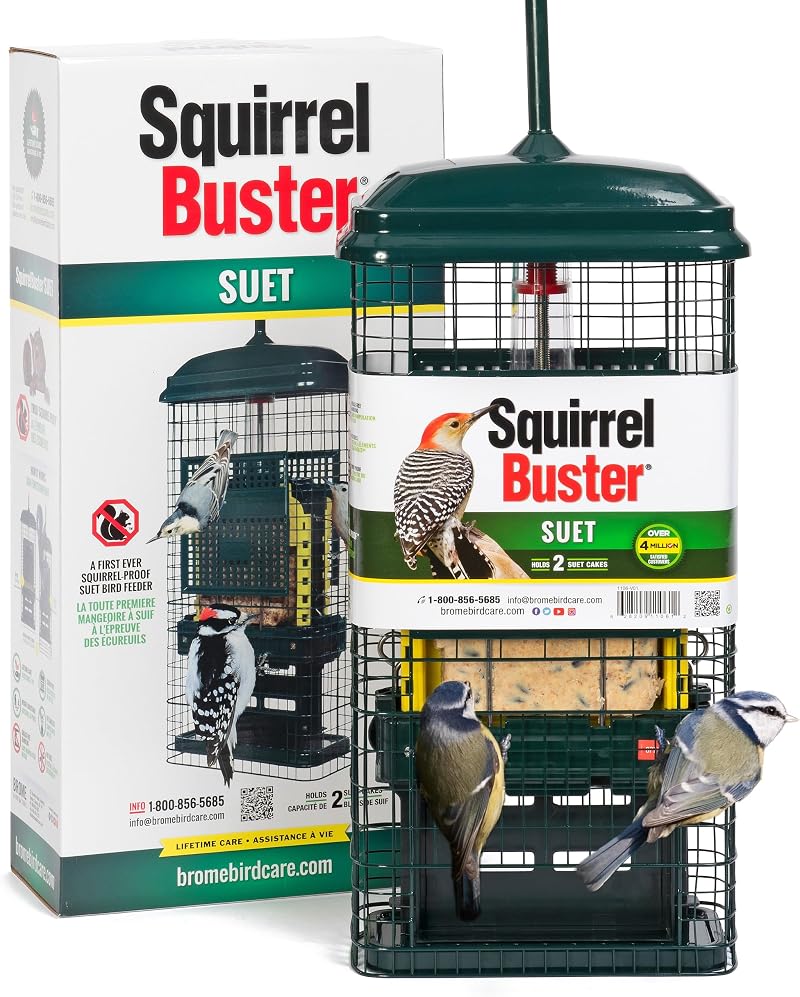 Jacobi Jayne Squirrel Buster Suet Feeder Two Suet Blocks Bird Feeder