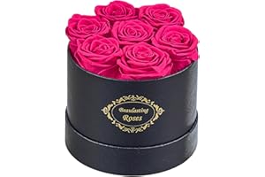 Beaulasting Roses Preserved Roses in a Box Long Lasting Roses Last a Year Forever Romantic Gifts for Her Mother's Day Valentine's Day Anniversary Birthday (Round Black Box, 7 Hot Pink Roses)