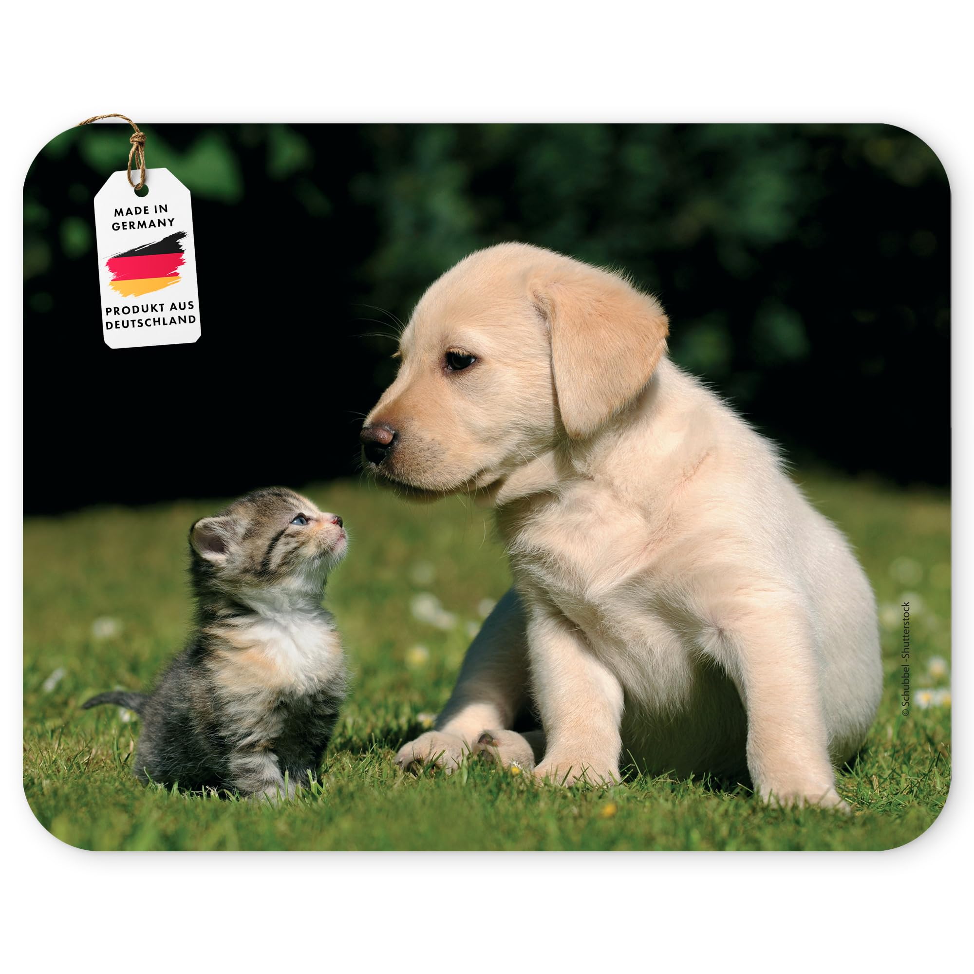 CAT AND DOG - BEST FRIENDS FOREVER Animal Mousepad/mouse mat: Quality mouse pad made of extremely tear-resistant special rubber with a strongly adhesive underside for an optimal hold (No. 108)