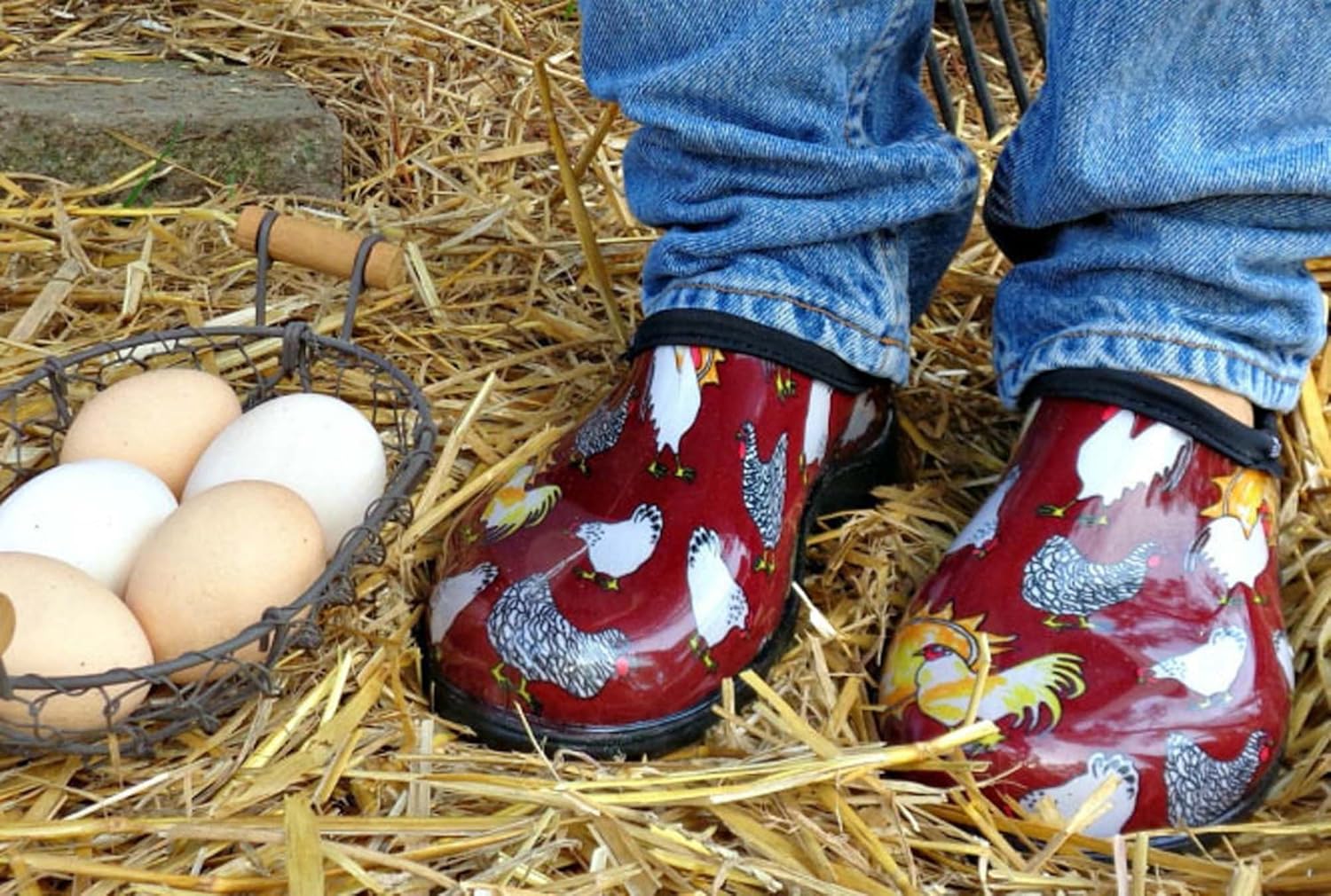 Sloggers Women's Waterproof Rain and Garden Shoe with Comfort Insole, Chickens Barn Red, Size 9, Style 5116CBR09: Garden & Outdoor