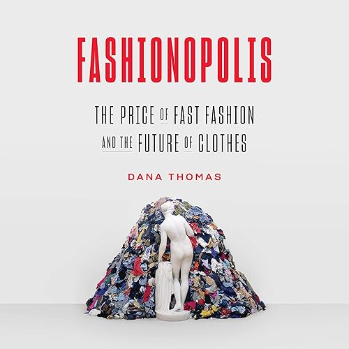 Download Fashionopolis: The Price of Fast Fashion and the Future of Clothes PDF
