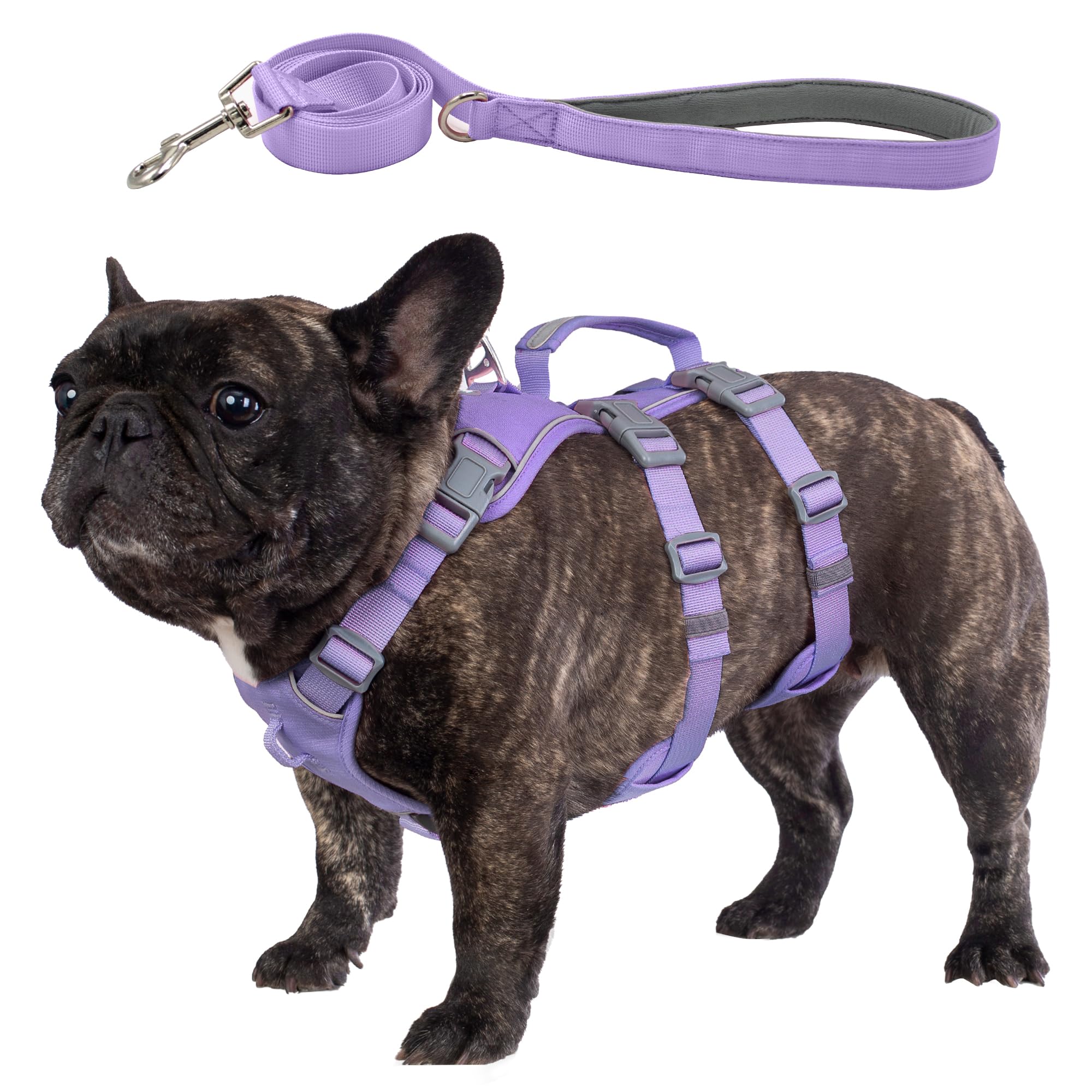 Wuffley Escape Proof Dog Harness and Leash Set, Lightweight Dog Harness with Lift and Assist Handle, No Pull Reflective Pet Vest for Small Medium Dogs, Ideal for Puppy Walking and Training (Purple, M)