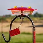 Review Image by bedobe bedobe