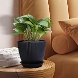 FORAGIFT 8 Pack Plant Pots Indoor 19/17.5/16.5/16/14/13/11.5/10cm Stripe Grooves view 6