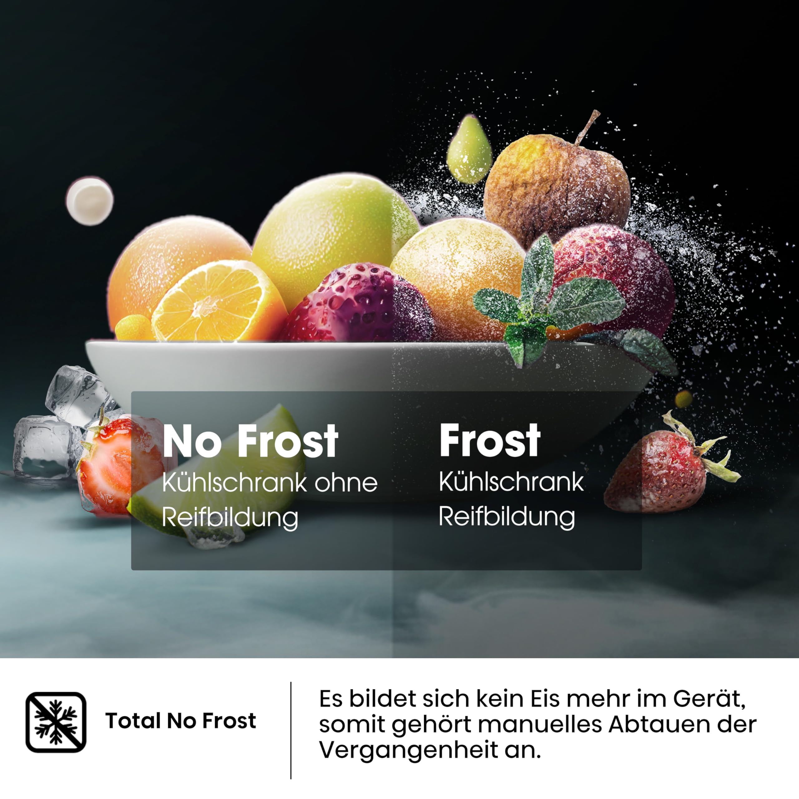 Hisense RB440N4ACA Kühl-Gefrier-Kombination/Höhe 201 cm/Kühlen 178 L/Gefrieren 98 L/LED Beleuchtung, Edelstahl 5