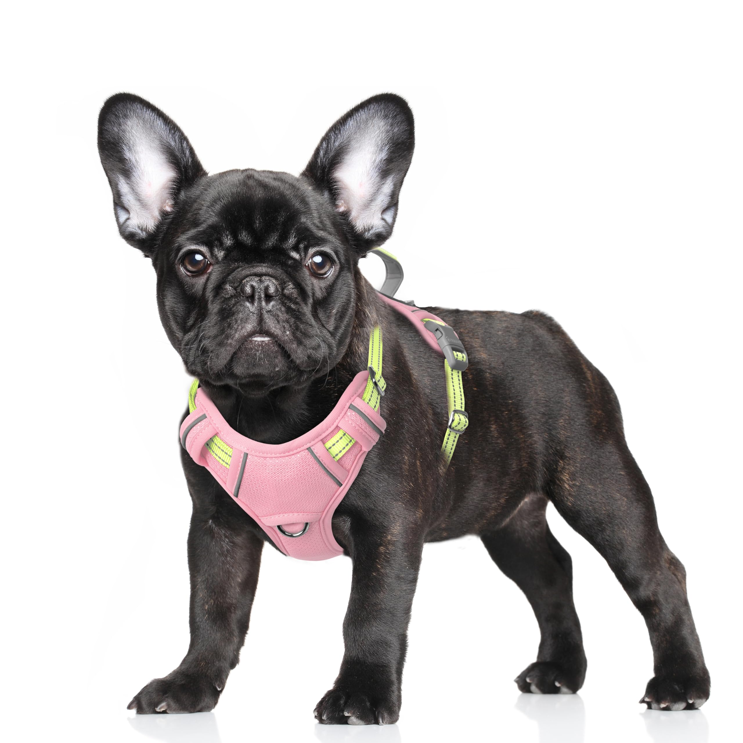 Photo 1 of **dirty**BARKBAY No Pull Dog Harness Large Reflective Dog Harness with Front Clip and Easy Control Handle for Walking Training Running with ID tag Pocket(Baby Pink & Sunlight,S)