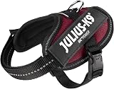 Julius-K9 IDC Powerharness 2XS Baby Bordeaux Chest 33-45 cm 2-5 kg