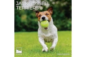 2026 Wall Calendar 12 Month | 12" x 24" Open | Dog Photography Thick & Sturdy Paper for Organizing & Planning | Office Kitche