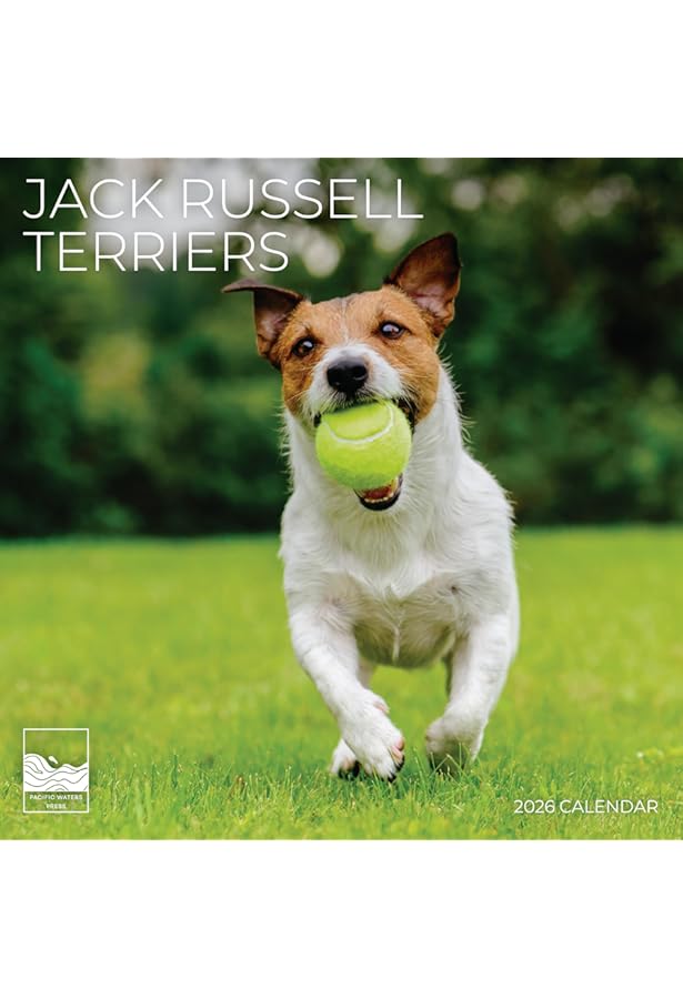 Jack Russell 2026 Calendar | Dog Breed Gift - View #8
