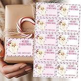 Glenmal 420 Pcs Christmas Name Gift Tag Stickers from Santa Claus Self Adhesive Pink Gift Tags Paper Christmas Santa Sticker Labels for Xmas Wrapping Paper Holiday Name Present DIY Craft, 2 x 2.9 Inch
