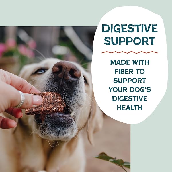 SHAMELESS PETS JERKY BITES TREATS, DUCK-TATO – HEALTHY DOG CHEWS FOR DIGESTION SUPPORT WITH FIBER – DOG TREATS WITH REAL CAGE-FREE DUCK – FREE FROM GRAIN, CORN & SOY – 1-PACK